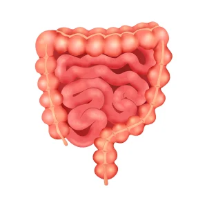 PERFIL INTESTINAL
