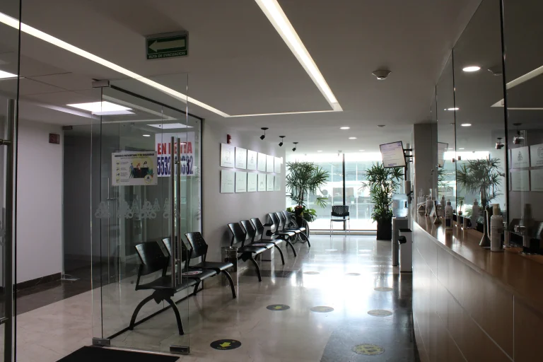 galeria-palmas1