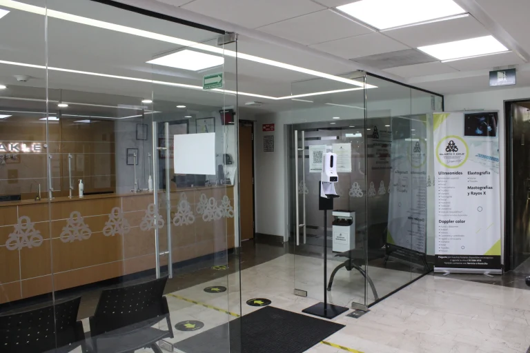 galeria-palmas3
