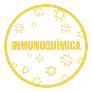 Cat inmunoquimica