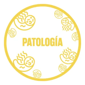 Cat patologia