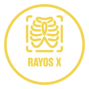 Cat rayos x