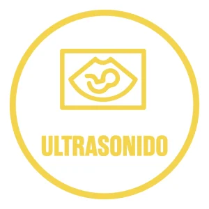 Cat ultrasonido